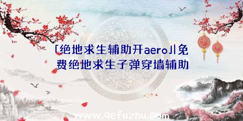 「绝地求生辅助开aero」|免费绝地求生子弹穿墙辅助